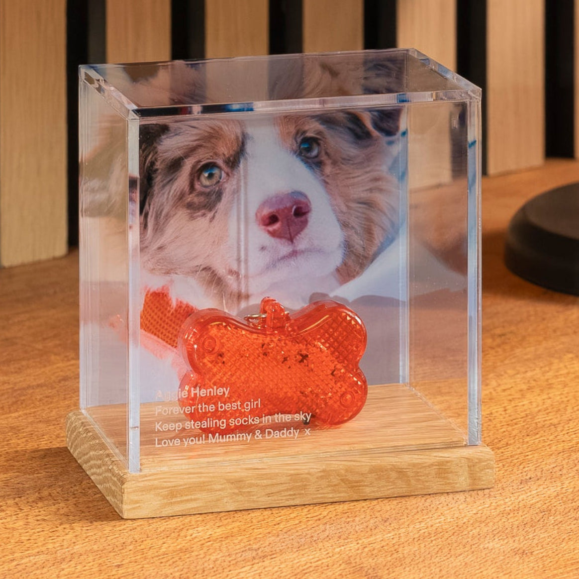 Pet memory case with a dog's face and a red bone-shaped object on a wooden surface.