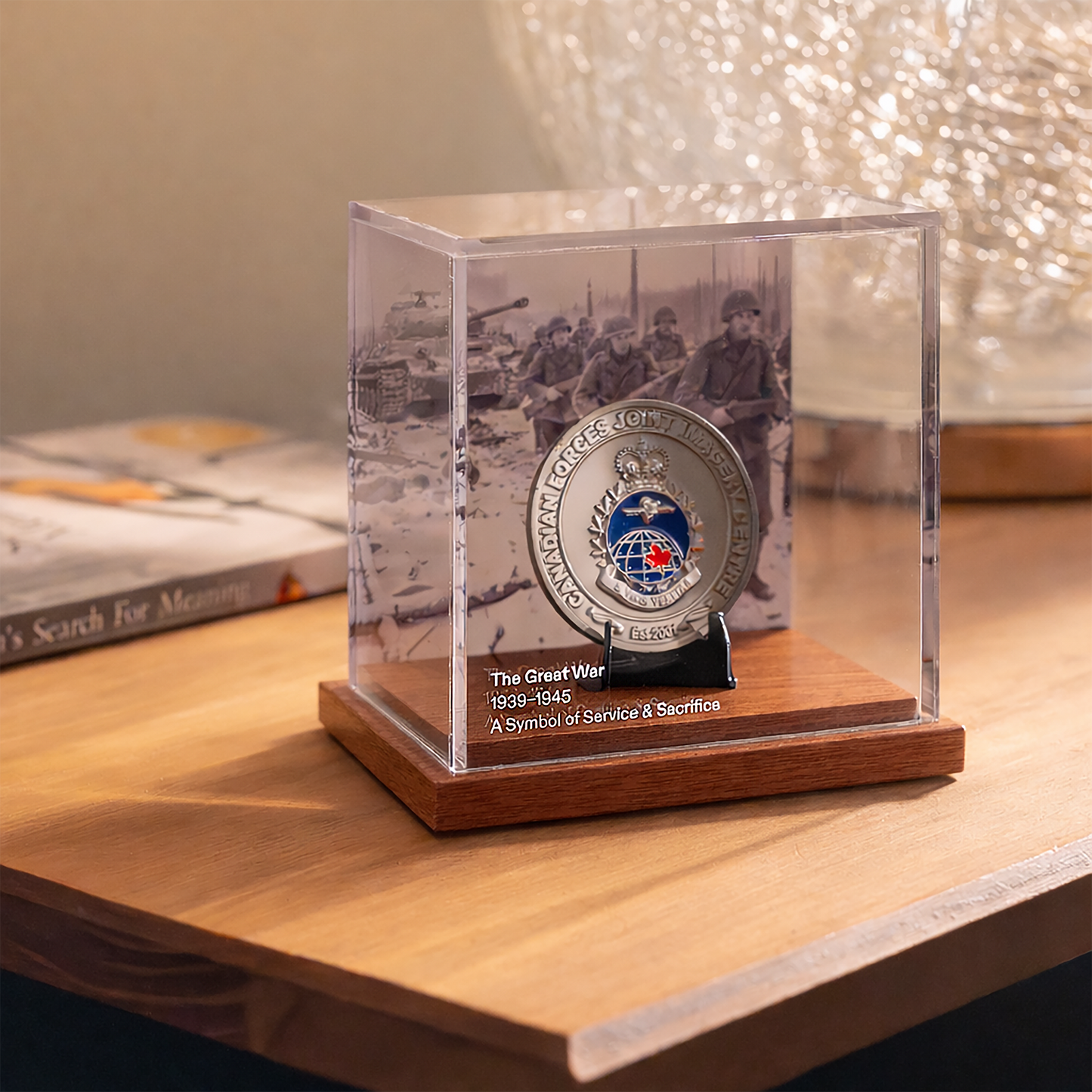 Display Case for Coins