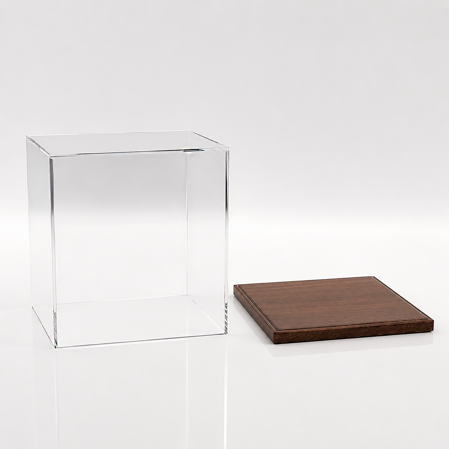 C6 display case