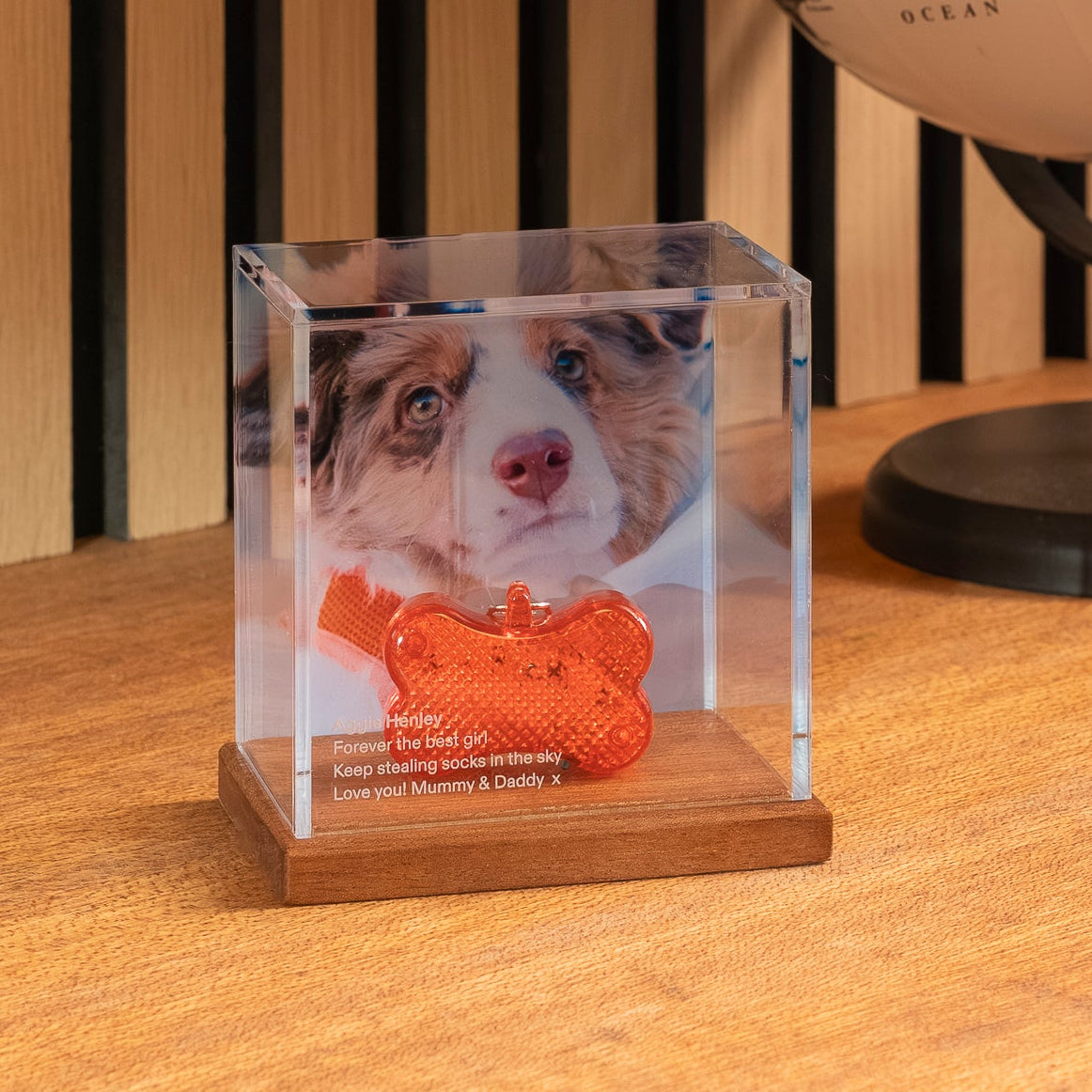 Pet Memory Case