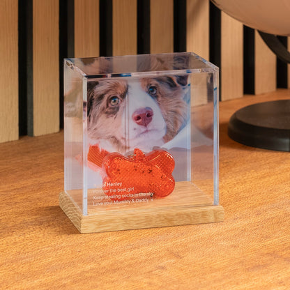 Pet Memory Case