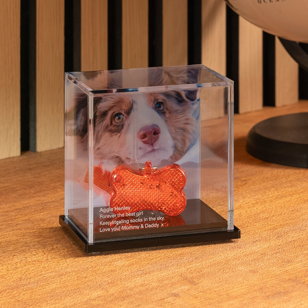 Pet Memory Case