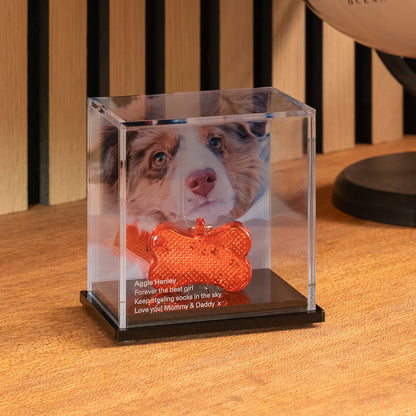 Pet Memory Case