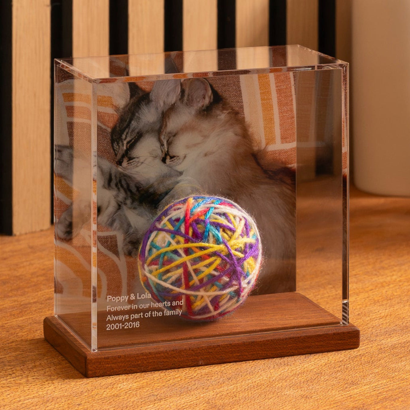 Pet memory case with wooden base featuring a cat and colorful ball, placed on a wooden surface.
