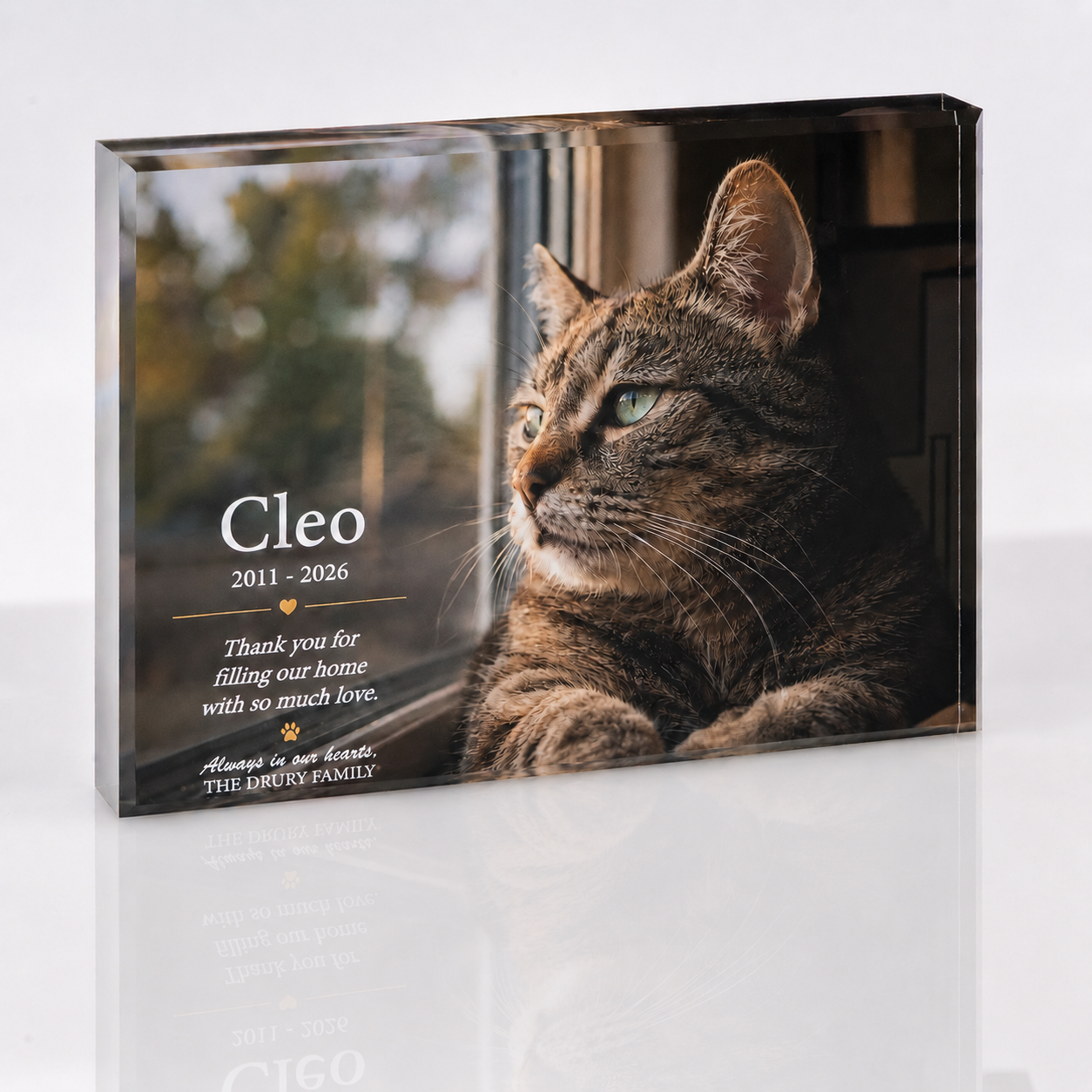 Personalised cat tribute photo block, horizontal Illustrated design with pet name, dates and message