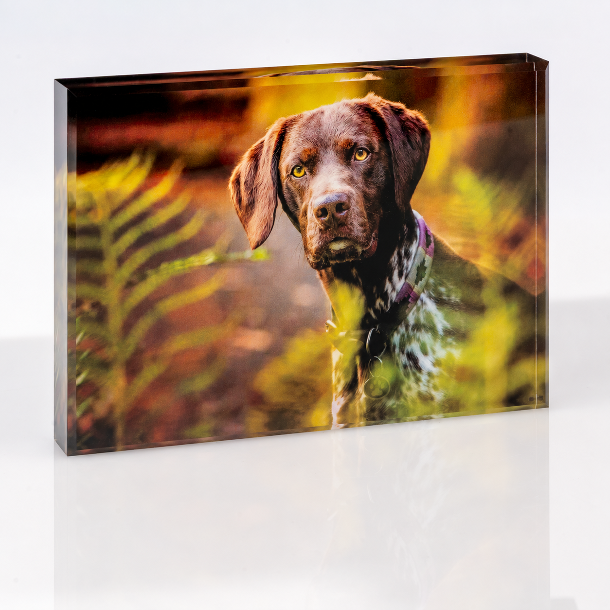 Crystal Clear pet tribute photo block, horizontal, photo only with no front print