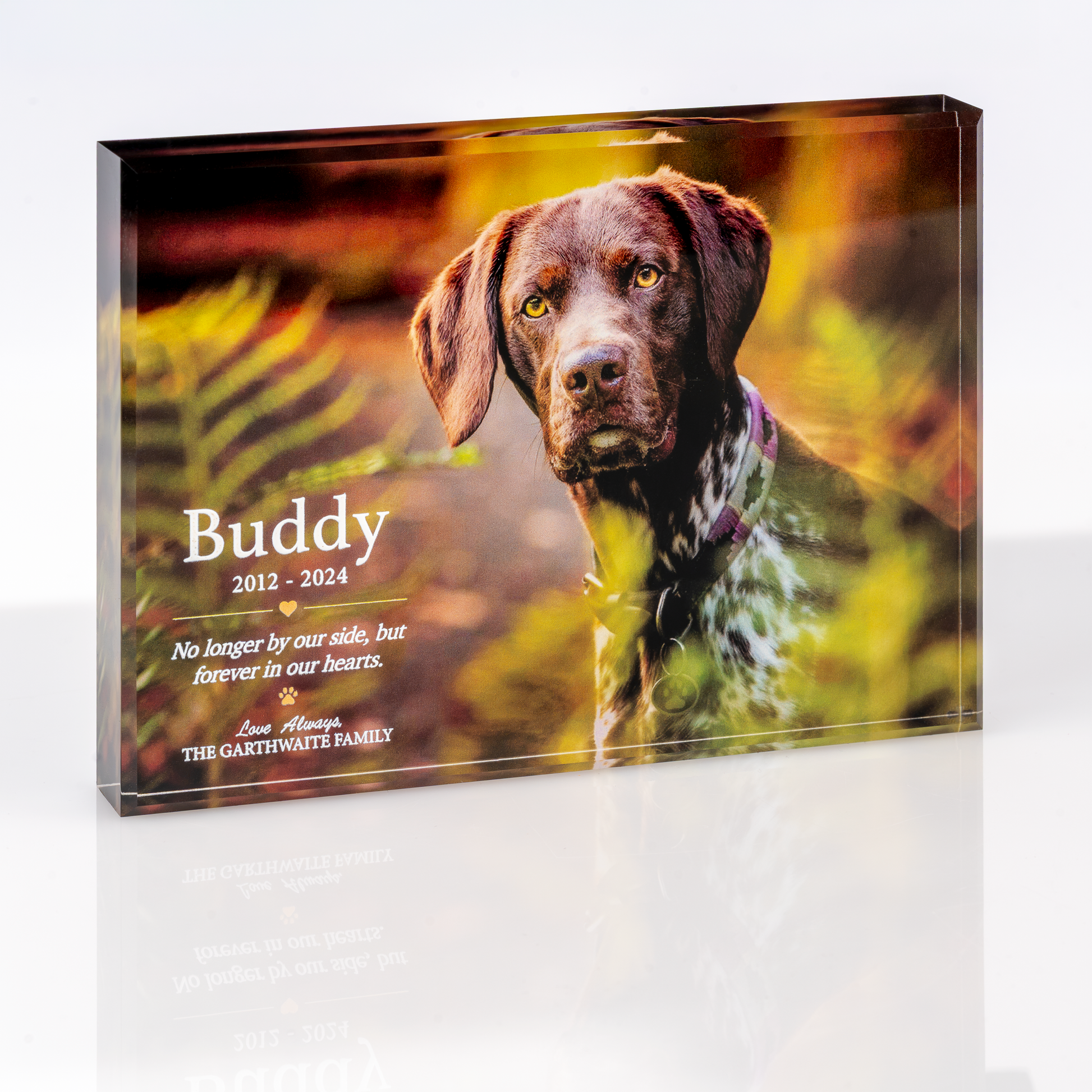Personalised dog tribute photo block, horizontal Illustrated design with pet name, dates and message