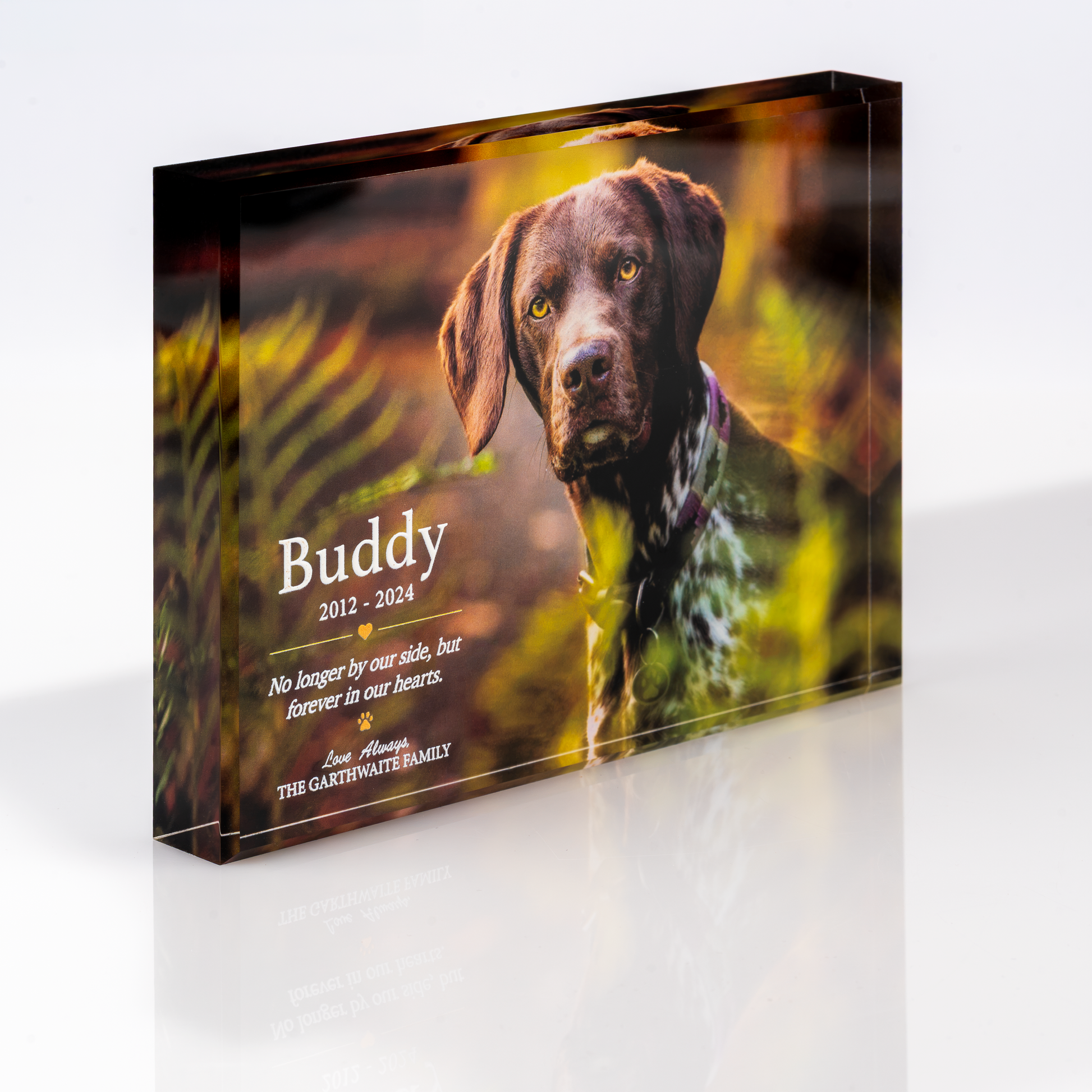 Personalised dog tribute photo block in 20mm acrylic, horizontal, angled view showing the block's depth
