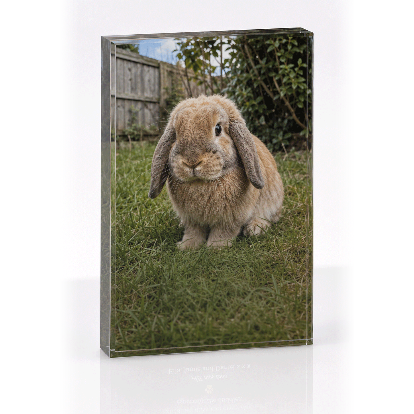 Crystal Clear rabbit tribute photo block, vertical, photo only with an engraved message on the back