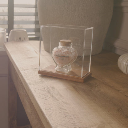 Display Case for Travel Souvenirs